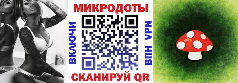 Псилоцибиновые грибы GOLDEN TEACHER  как найти наркотики  Кузнецк 